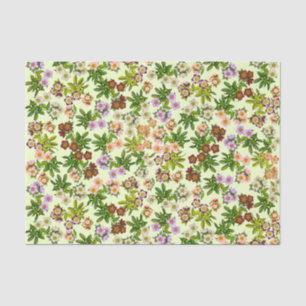 Lenten Rose Hellebore Floral Tissue Paper