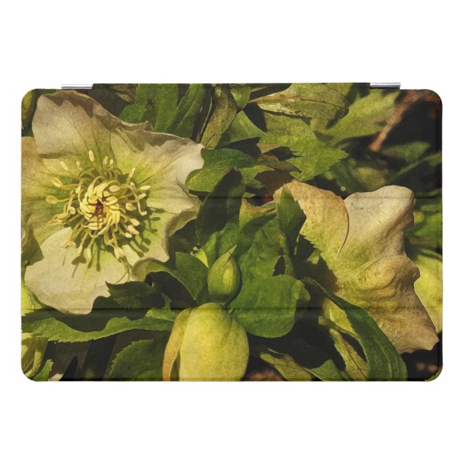 Lenten Rose Hellebore Flower 10.5 iPad Pro Case