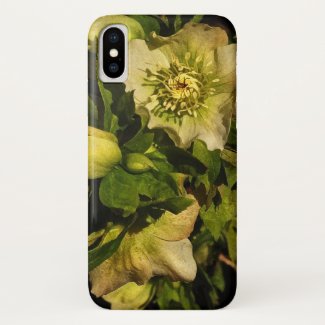 Lenten Rose Hellebore Flowers iPhone X Case