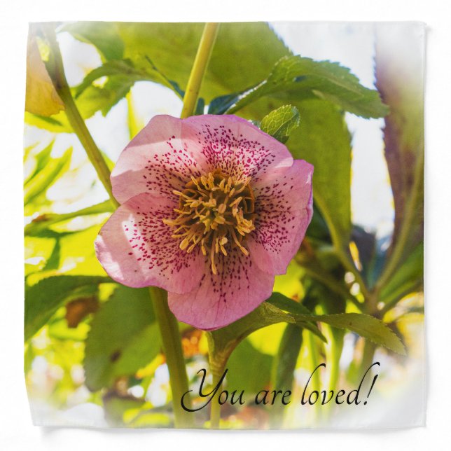 Lenten Rose. Helleborus. You are loved!  Bandana (Front)