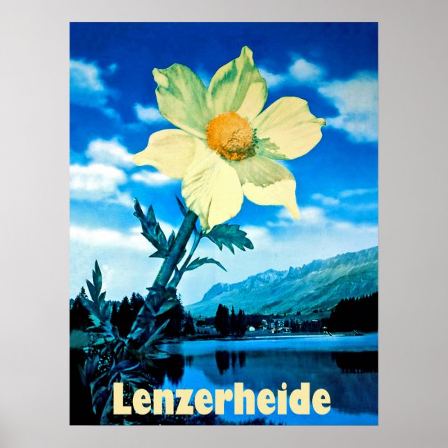 Lenzerheide, Switzerland, summer flower on lake Poster (Front)