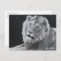 Leo, African Lion, Animal