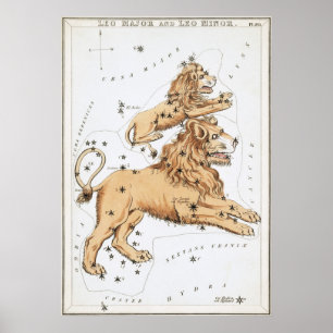 Leo Astrological Drawing Poster