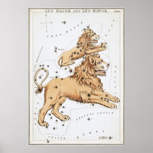 Leo Astrological Drawing Poster