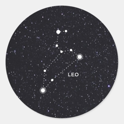 Leo Classic Round Sticker