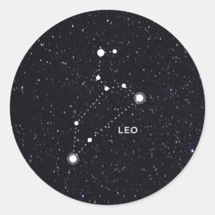Leo Classic Round Sticker