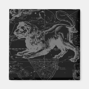 Leo Constellation Hevelius 1690 Decor Magnet