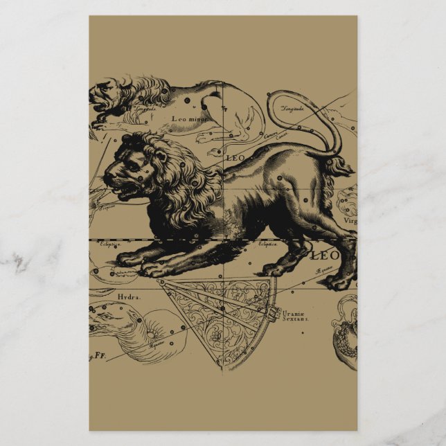 Leo Constellation Hevelius 1690 July23 - August 22 Flyer (Front)