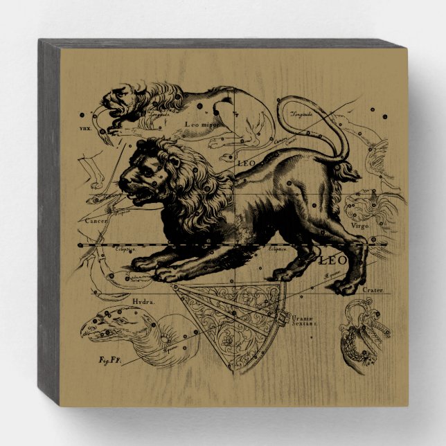 Leo Constellation Hevelius 1690 July23 - August 22 Wooden Box Sign (Front Horizontal)
