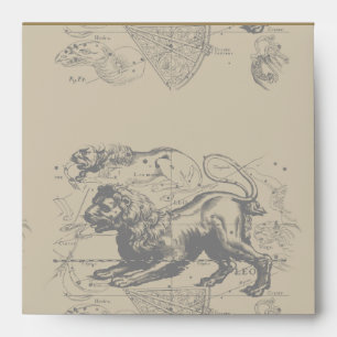 Leo Constellation Hevelius 1690 July 23 August 22 Envelope