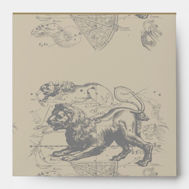 Leo Constellation Hevelius 1690 July 23  August 22 Envelope (Front)