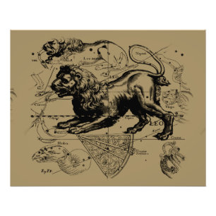 Leo Constellation Hevelius 1690 July 23 August 22 Photo Print