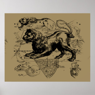 Leo Constellation Hevelius 1690 July 23 - August 2 Poster