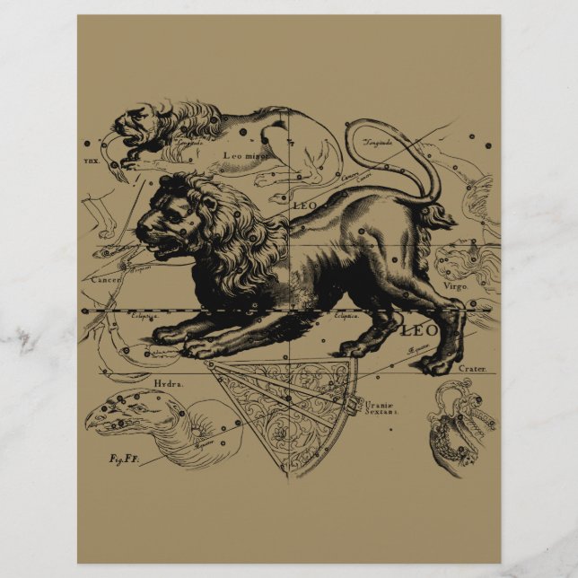 Leo Constellation Map Hevelius circa 1690 (Front)