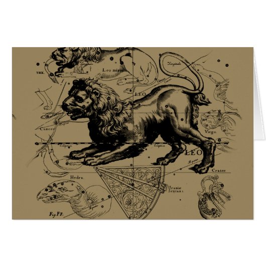 Leo Constellation Map Hevelius circa 1690 Cards (Front Horizontal)