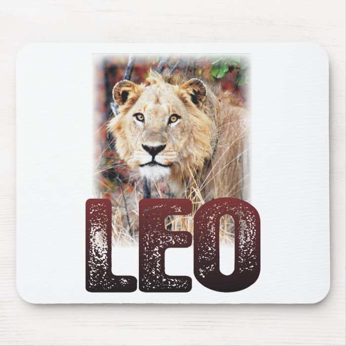 Leo or African Lion, a wild, dangerous feline cat Mouse Pads
