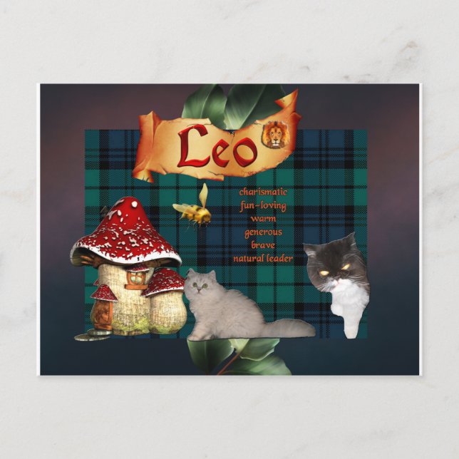 Leo sun-sign picture postcard (Front)