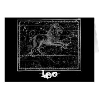 Leo, the Lion Cards