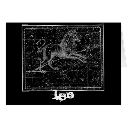 Leo, the Lion Cards (Front Horizontal)