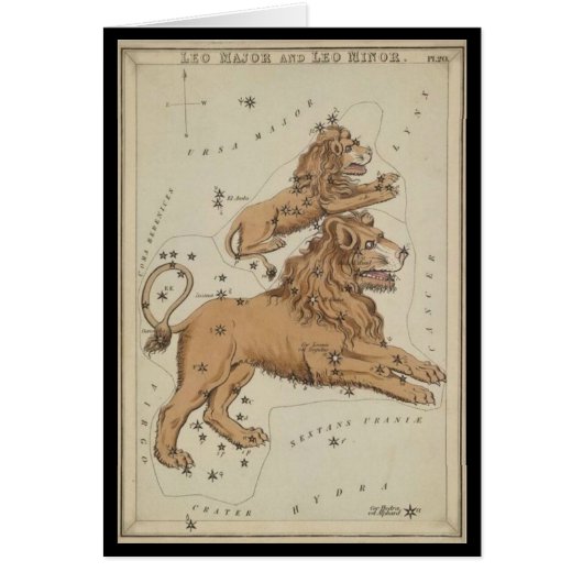 Leo the Lion Cards (Front)