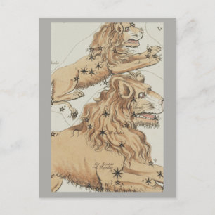 Leo Zodiac Sign Postcard