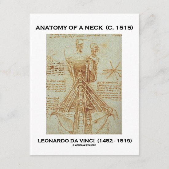 Leonardo da Vinci Anatomy Of A Neck (Drawing)