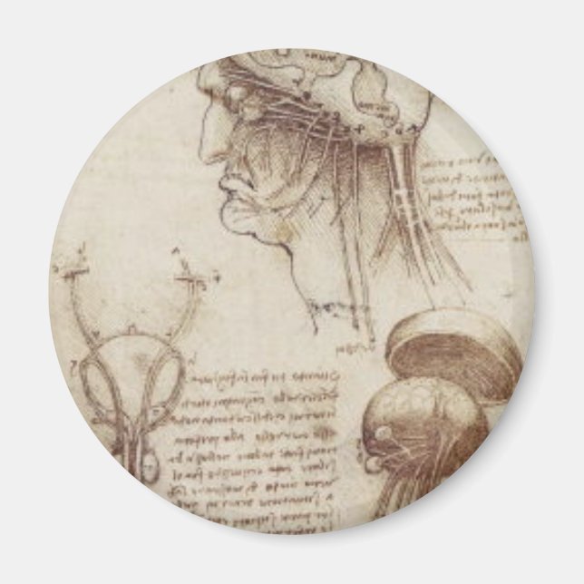 Leonardo da Vinci - Brain Physiology Magnet (Front)