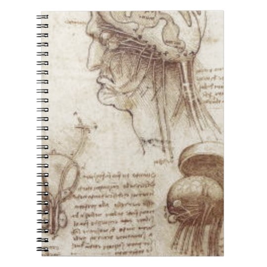 Leonardo Da Vinci Brain Physiology Notebook 7300