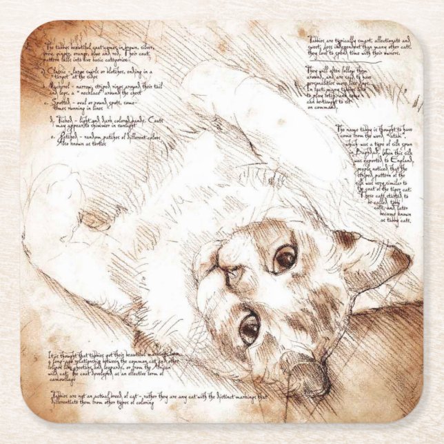 Leonardo da Vinci Cat Sketch Coaster (Front)