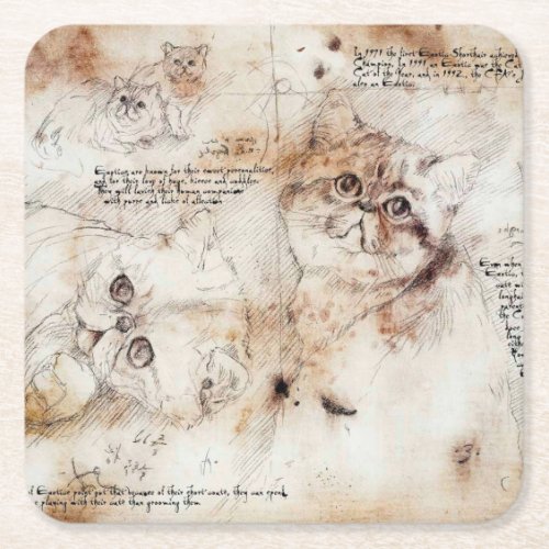 Leonardo da Vinci Cat Sketch Coaster