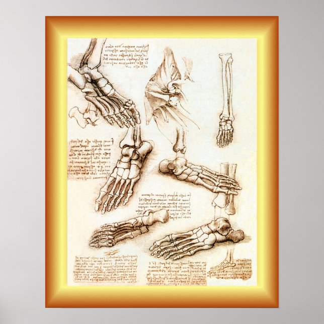 Leonardo da Vinci ~ Foot Anatomy ~ Poster (Front)