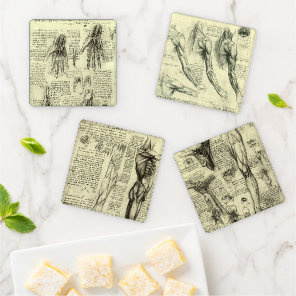Leonardo da Vinci Human Anatomy Sketches Coaster Set