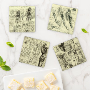 Leonardo da Vinci Human Anatomy Sketches Coaster Set