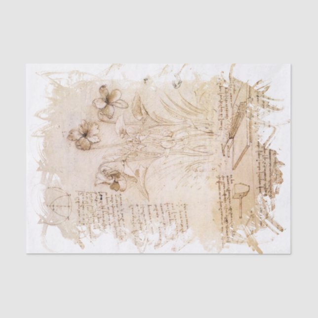 Leonardo da Vinci Inspired  Tissue Paper (Front)