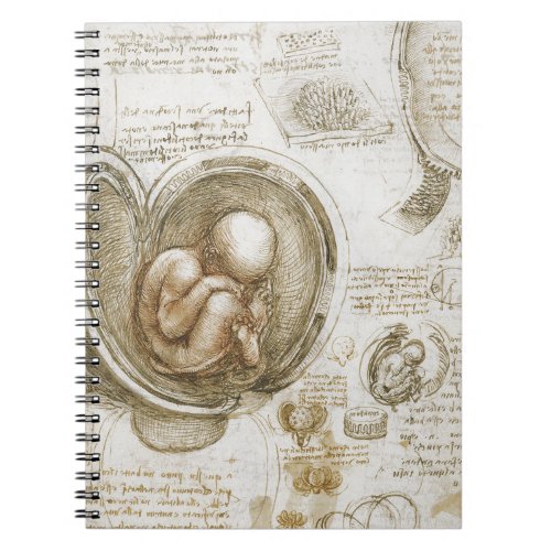 Leonardo da Vinci Notebook