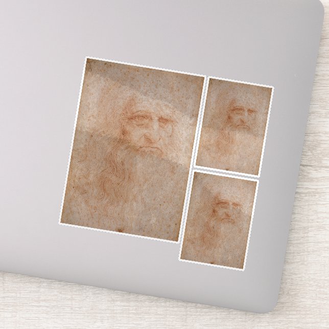 Leonardo Da Vinci, Presumed Self-Portrait Sticker (Detail)