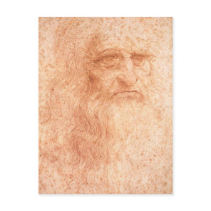 Leonardo da Vinci Self Portrait Red Chalk Postcard