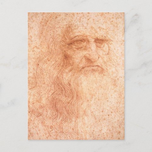 Leonardo da Vinci Self Portrait Red Chalk Postcard