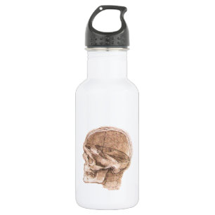 Leonardo da Vinci Skull Anatomy Fine Art Stainless Steel Water Bottle