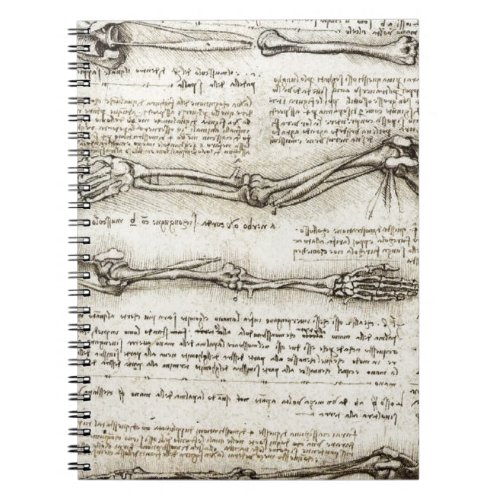 Leonardo da Vinci _ Studies of the Arm Artwork Notebook