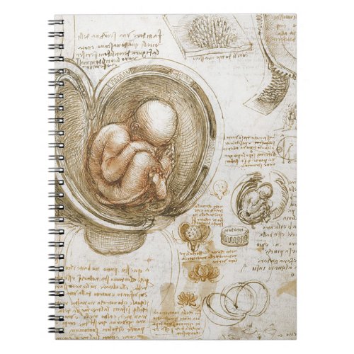 Leonardo da Vinci Studies of the Fetus in the Womb Notebook