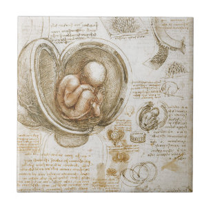 Leonardo da Vinci Studies of the Fetus in the Womb Tile