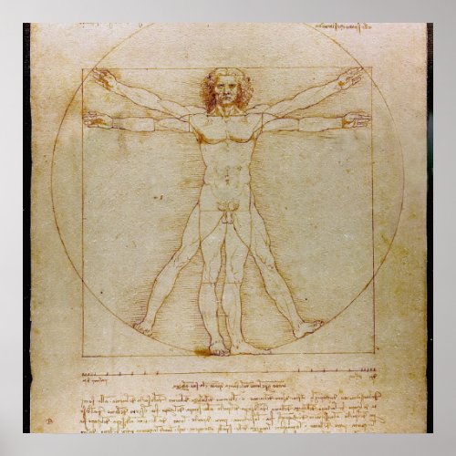 Leonardo Da Vinci The Vitruvian ManRenaissance Poster