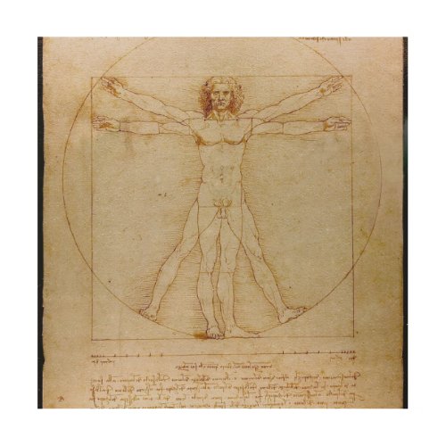 Leonardo Da Vinci The Vitruvian ManRenaissance Wood Wall Decor