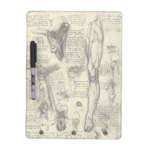 Leonardo da Vinci Vintage Human Anatomy Larynx Leg Dry-Erase Board