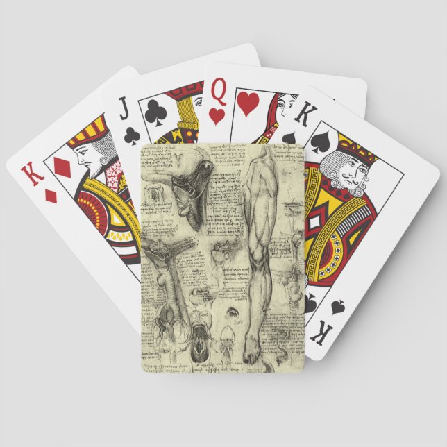 Leonardo da Vinci Vintage Human Anatomy Larynx Leg Poker Cards (Back)