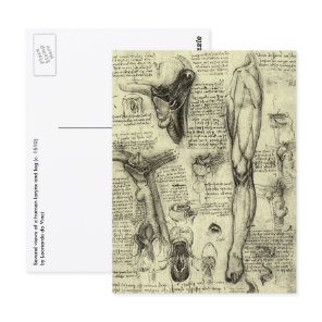 Leonardo da Vinci Vintage Human Anatomy Larynx Leg Postcard