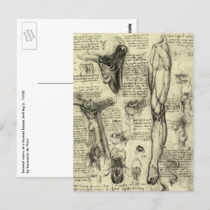 Leonardo da Vinci Vintage Human Anatomy Larynx Leg Postcard