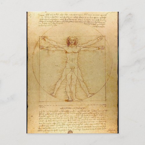 Leonardo Da Vinci _ Vitruvian Man Painting Postcard
