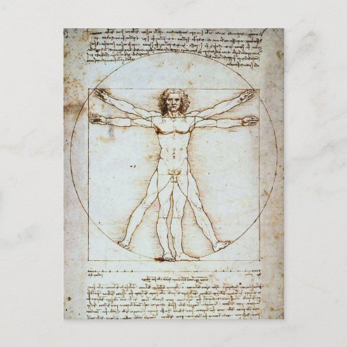 LEONARDO DA VINCI  VITRUVIAN MAN POSTCARD